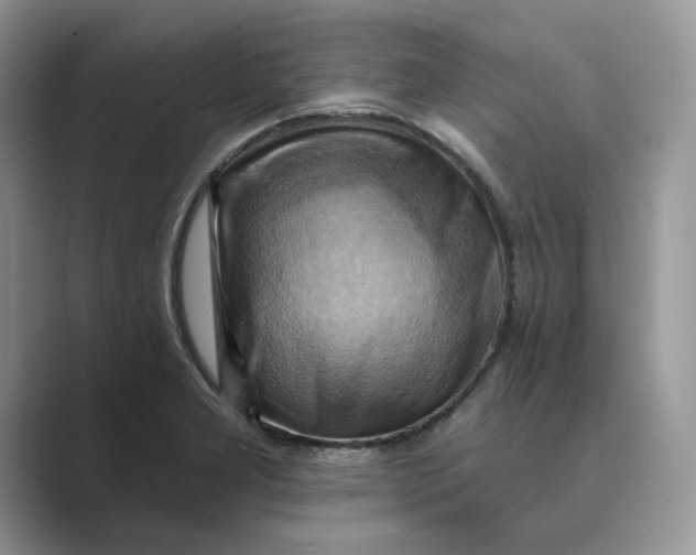 X0000088861277200707061044