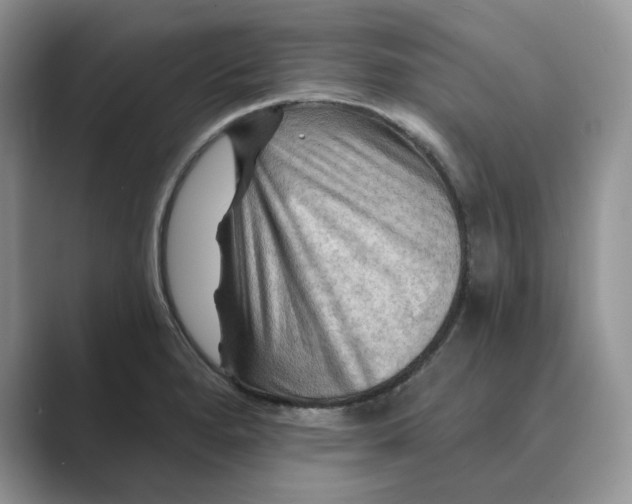 X0000088861280200707061044