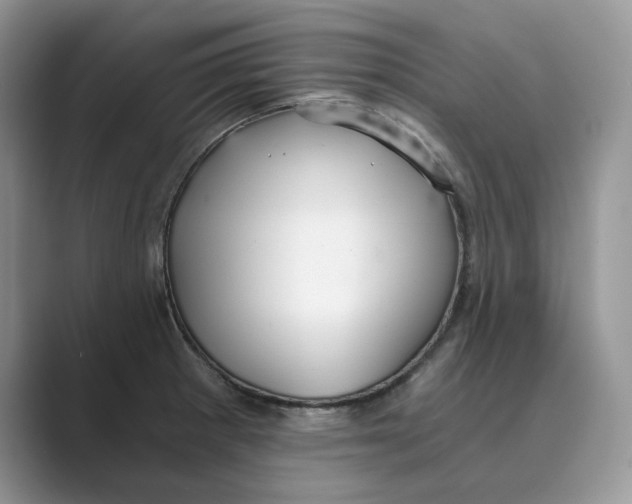 X0000088861281200707061044