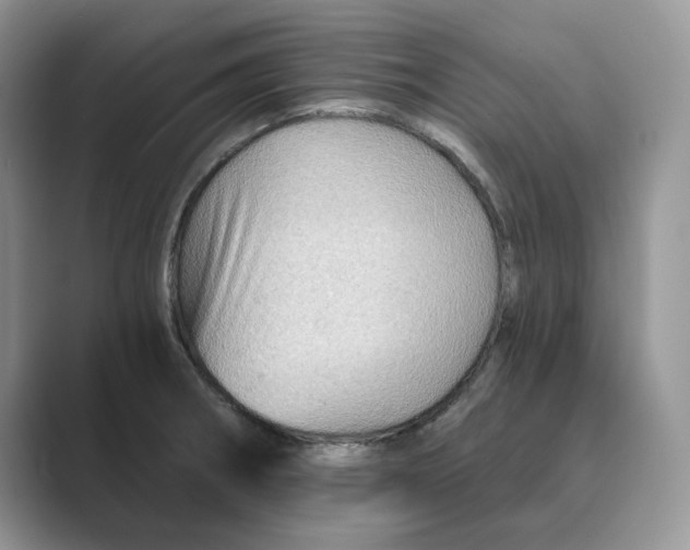 X0000088861282200707061044