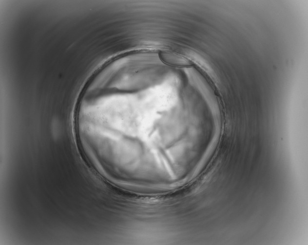 X0000088861283200707061044