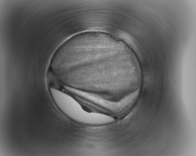 X0000088861284200707061044