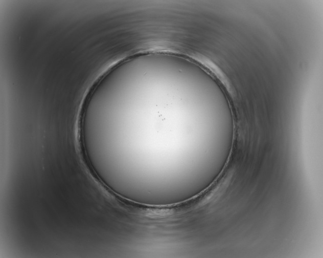 X0000088861285200707061044