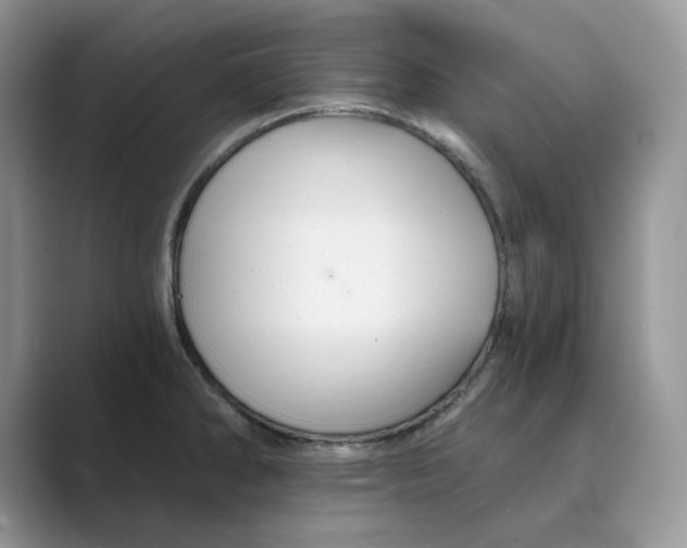 X0000088861286200707061044