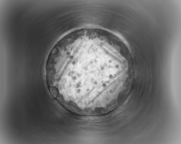 X0000088861287200707061044