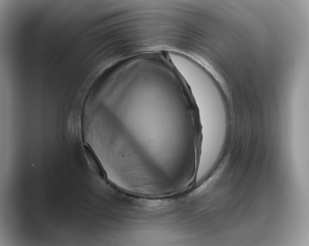 X0000088861289200707061044