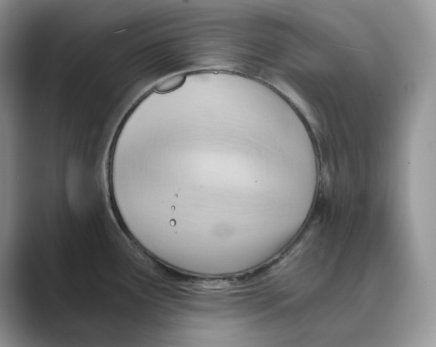 X0000088861291200707061044