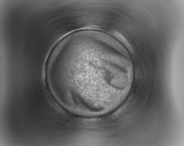 X0000088861292200707061044