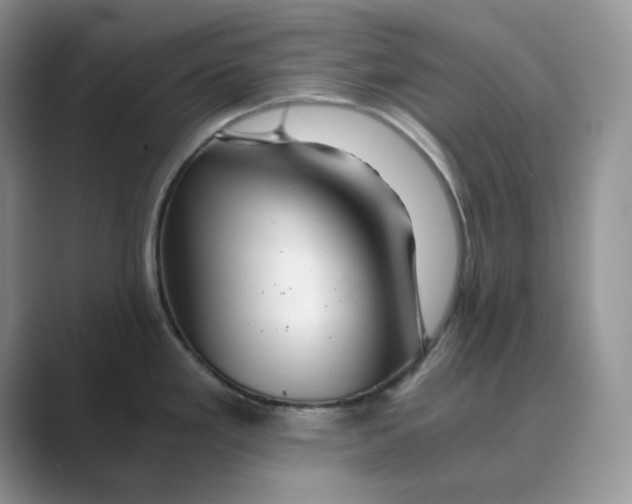 X0000088861293200707061044