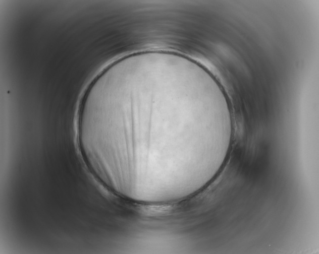 X0000088861294200707061044