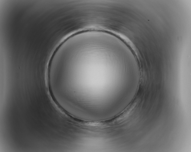 X0000088861295200707061044