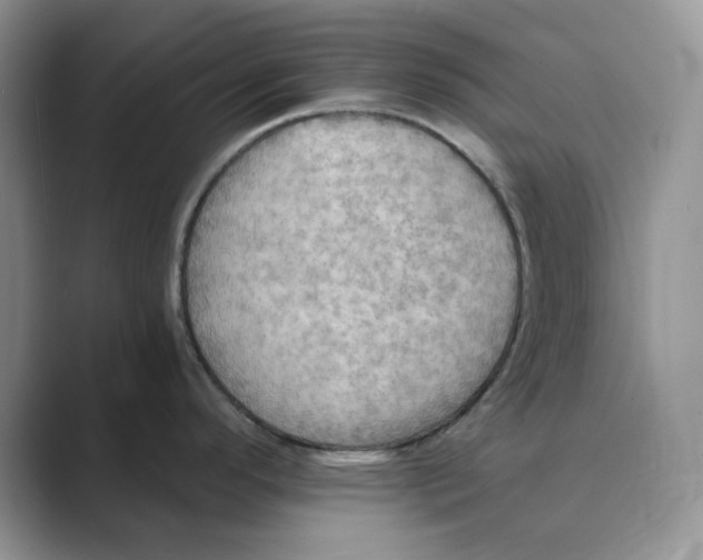 X0000088861296200707061044