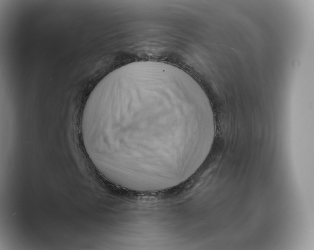 X0000088861297200707061043