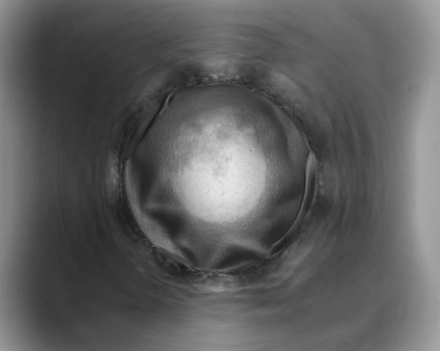 X0000088861298200707061043