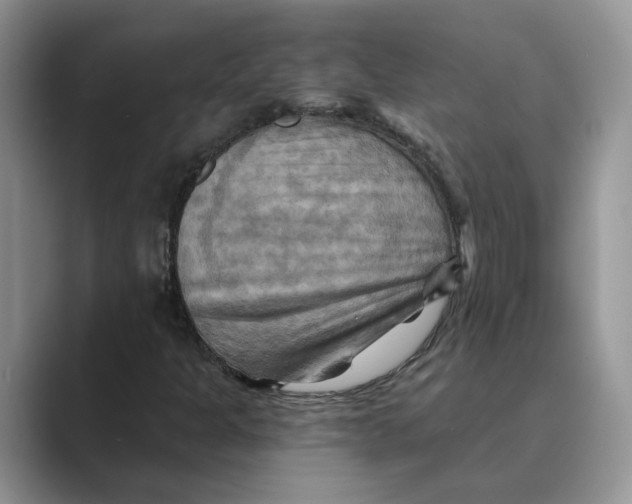 X0000088861301200707061043