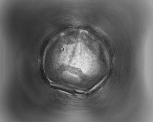 X0000088861302200707061043