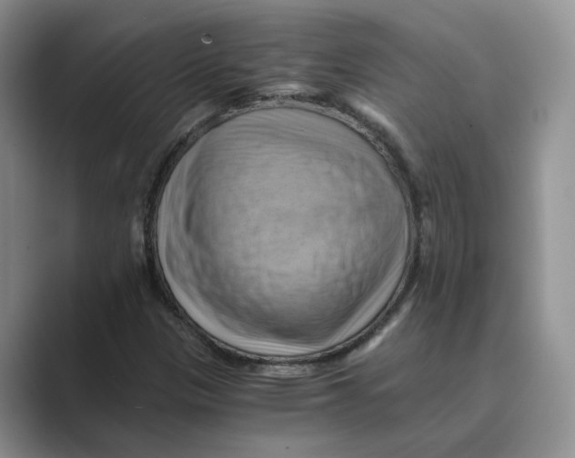 X0000088861305200707061043