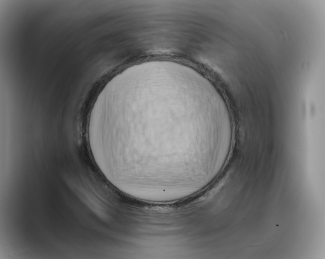 X0000088861306200707061043