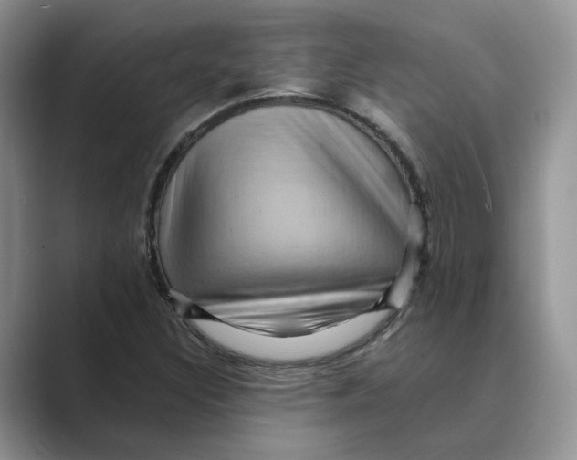 X0000088861308200707061044