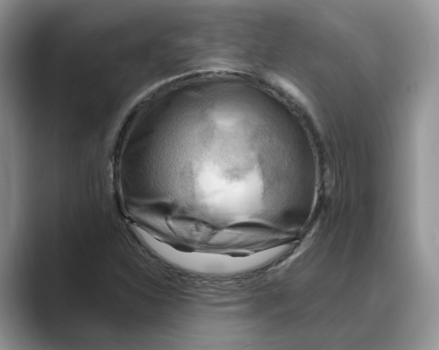 X0000088861310200707061044