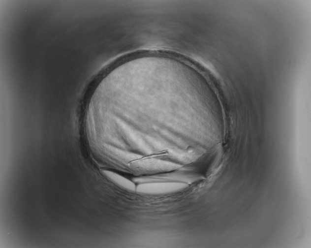 X0000088861311200707061044