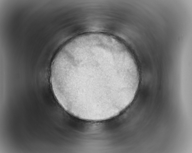 X0000088861314200707061044