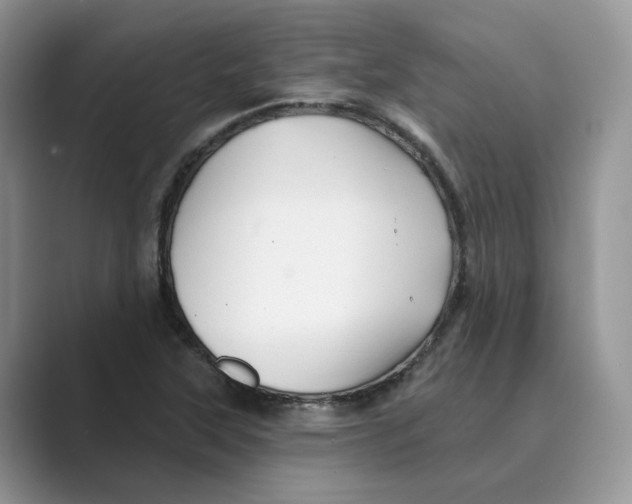 X0000088861315200707061044