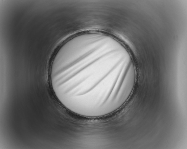 X0000088861316200707061044