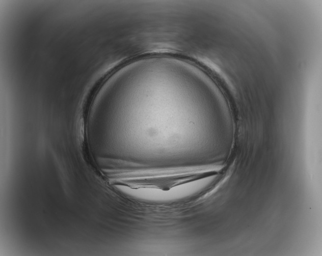 X0000088861317200707061044