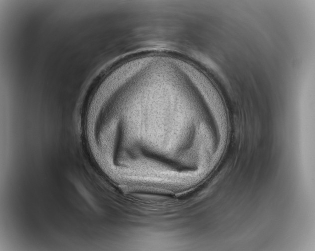 X0000088861318200707061044