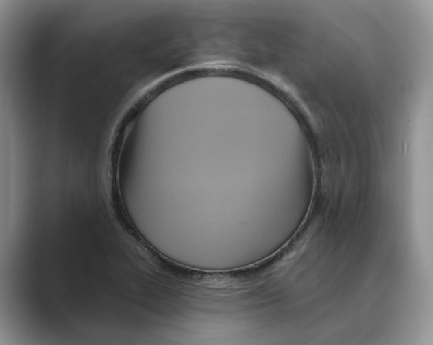 X0000088861319200707061044