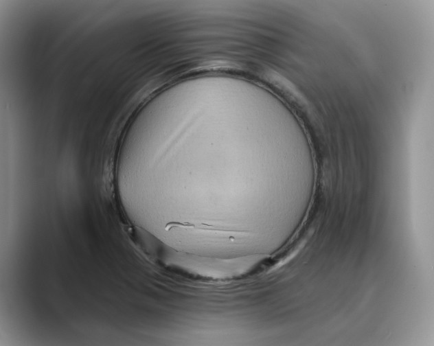 X0000088861321200707061044