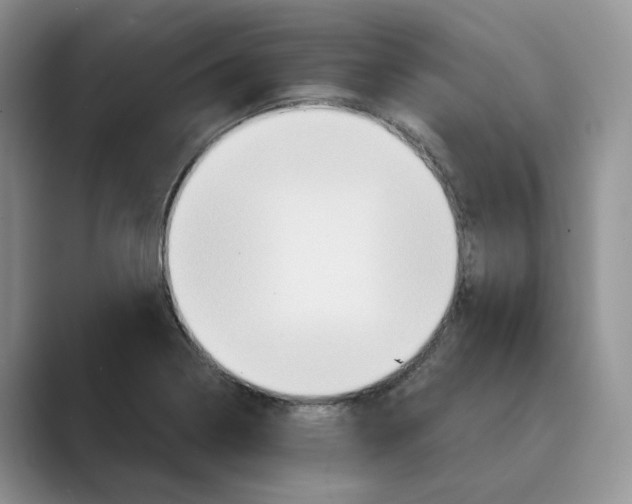 X0000088861322200707061044