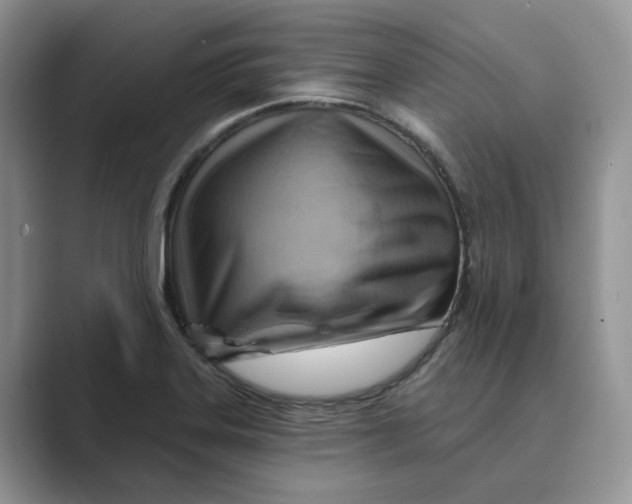 X0000088861323200707061044