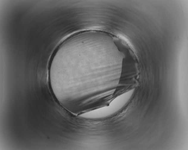 X0000088861324200707061044