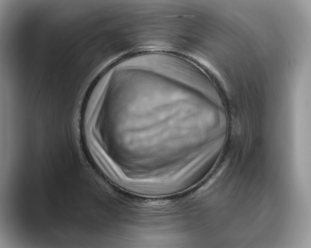 X0000088861325200707061044