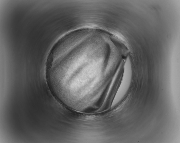 X0000088861326200707061044