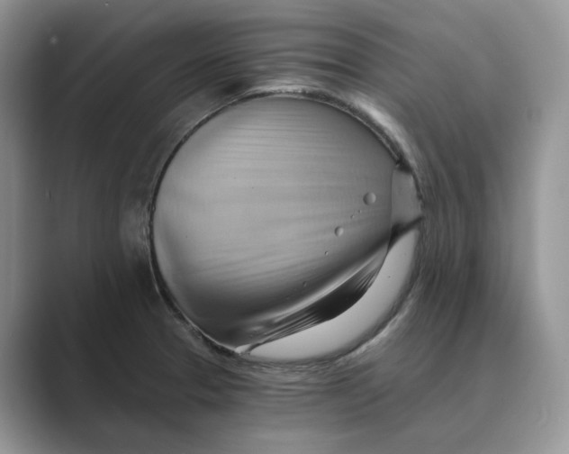 X0000088861329200707061044