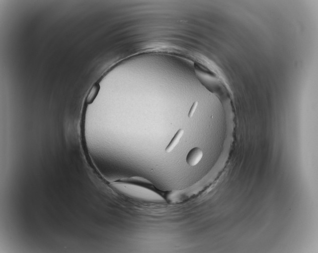 X0000088861330200707061044