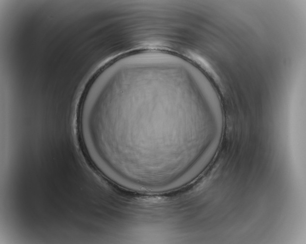 X0000088861331200707061044