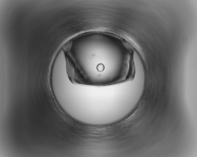 X0000088861332200707061044