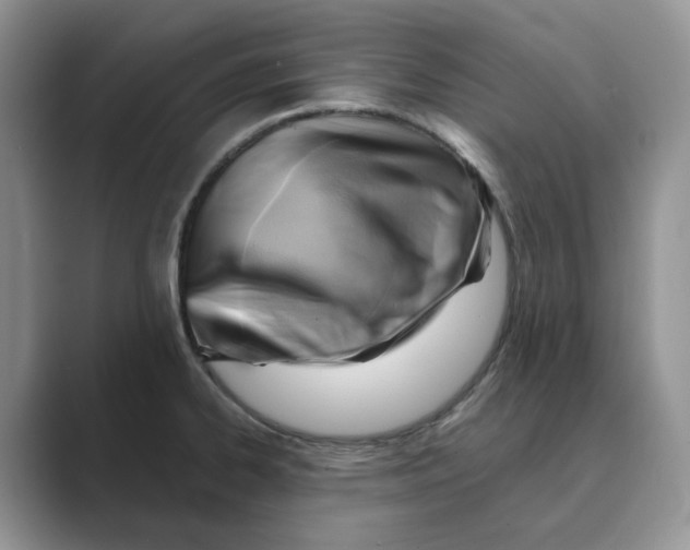 X0000088861334200707061044