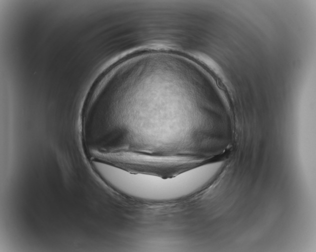 X0000088861335200707061044