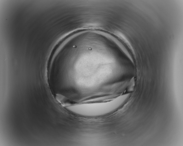 X0000088861336200707061044