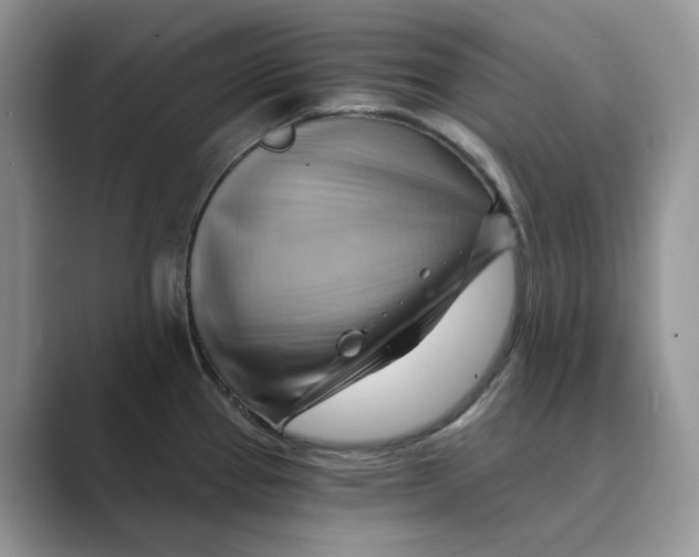 X0000088861337200707061044