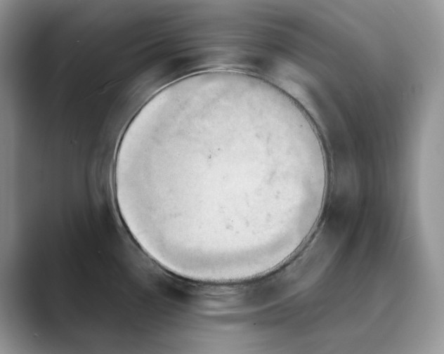 X0000088861338200707061044