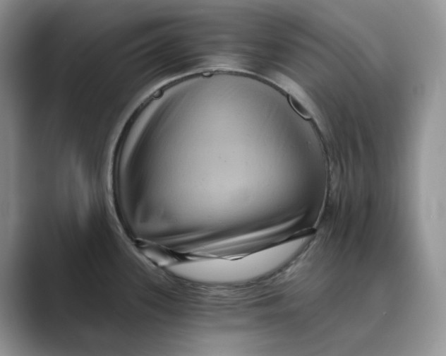 X0000088861339200707061044