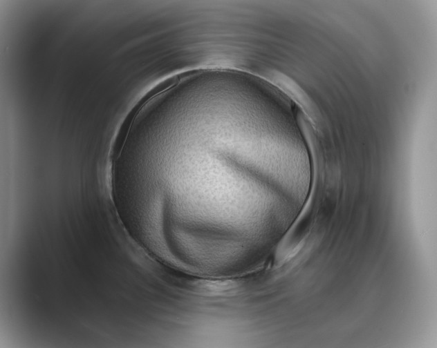 X0000088861340200707061044