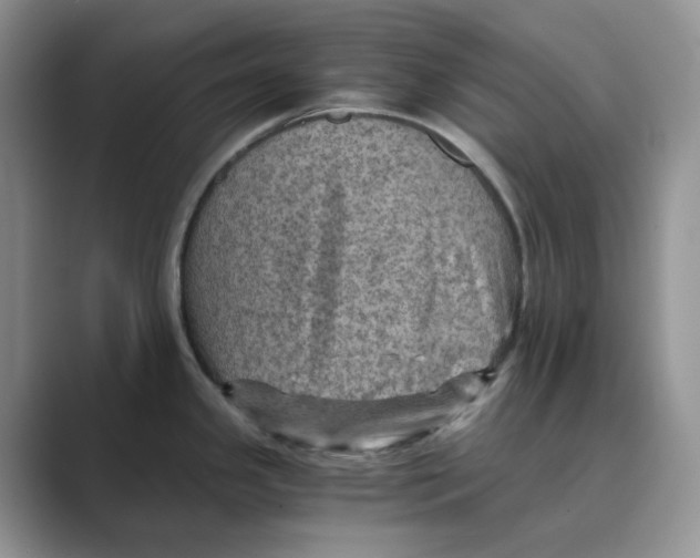 X0000088861341200707061044