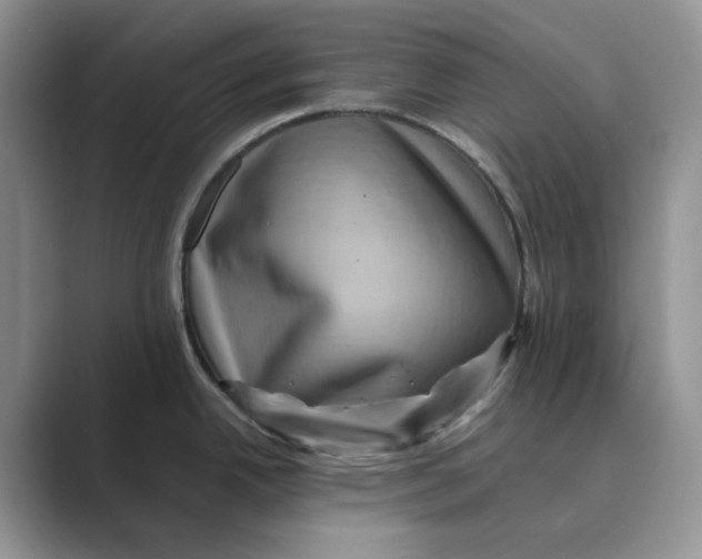 X0000088861342200707061044